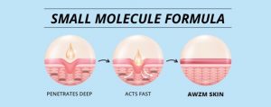 small molecule 